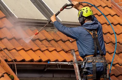 Démoussage et hydrofuge de toiture à Lubey